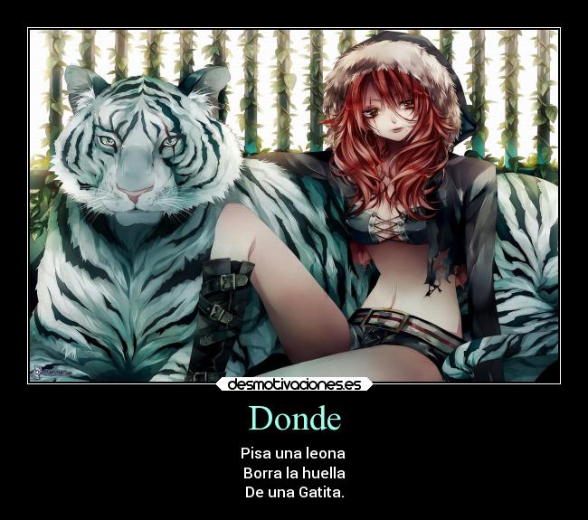 Donde - 