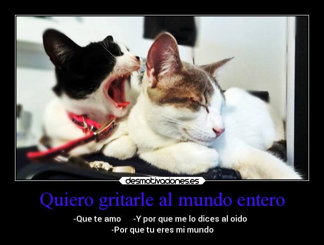 Quiero gritarle al mundo entero -