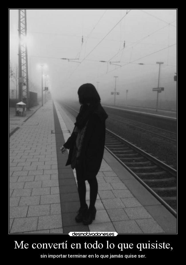Me convertí en todo lo que quisiste, -