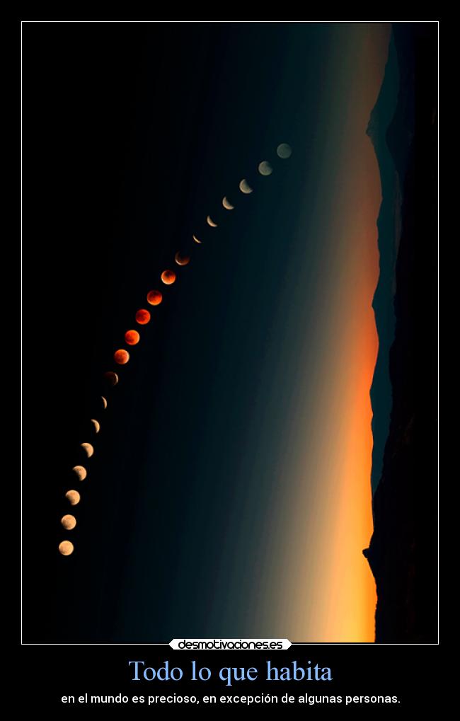 Todo lo que habita -