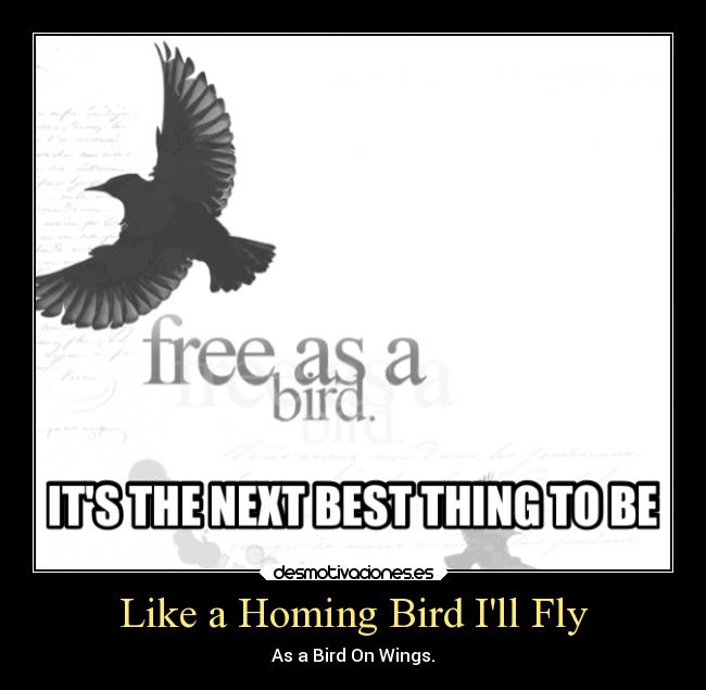 Like a Homing Bird Ill Fly - As a Bird On Wings.