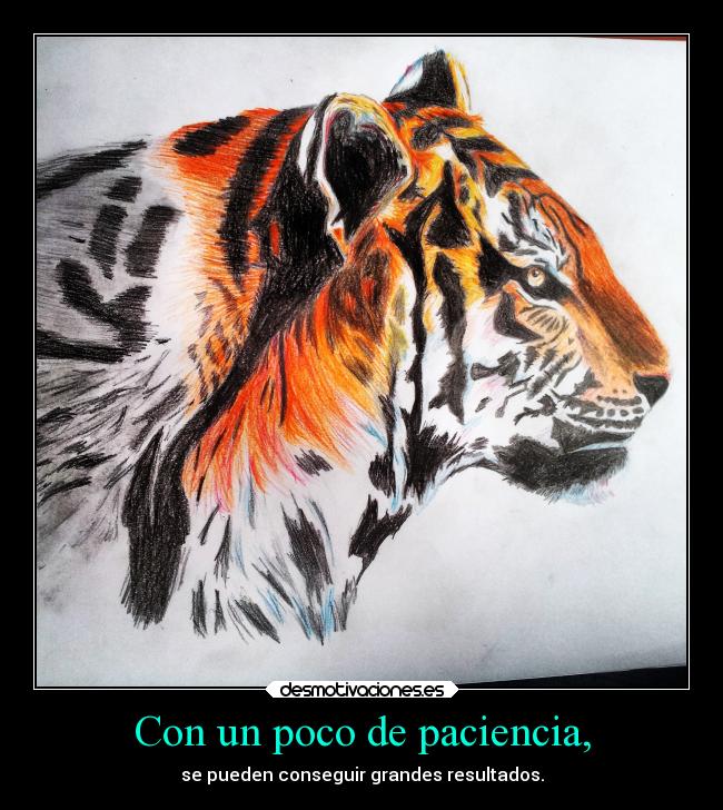 carteles naturaleza confianza arte tigre dibujo color lapiceros propio recien hecho esta tarde desmotivaciones