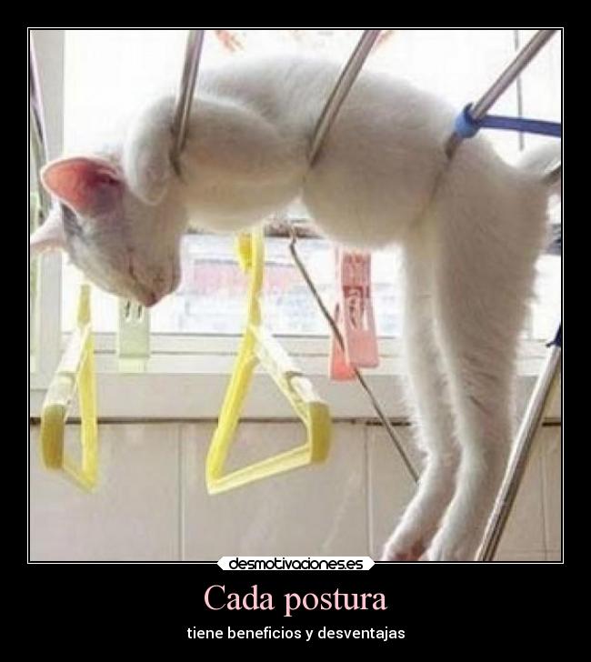 Cada postura - tiene beneficios y desventajas