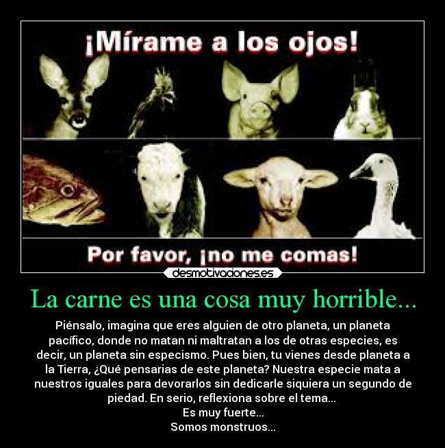 La carne es una cosa muy horrible... - Piénsalo, imagina que eres alguien de otro planeta, un planeta
pacífico, donde no matan ni maltratan a los de otras especies, es
decir, un planeta sin especismo. Pues bien, tu vienes desde planeta a
la Tierra, ¿Qué pensarias de este planeta? Nuestra especie mata a
nuestros iguales para devorarlos sin dedicarle siquiera un segundo de
piedad. En serio, reflexiona sobre el tema...
Es muy fuerte...
Somos monstruos...