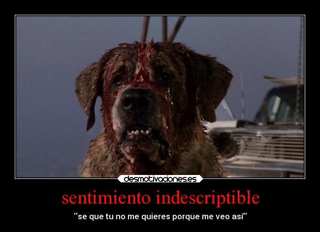 sentimiento indescriptible - 