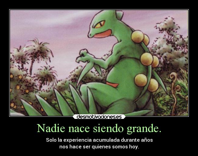 Nadie nace siendo grande. -
