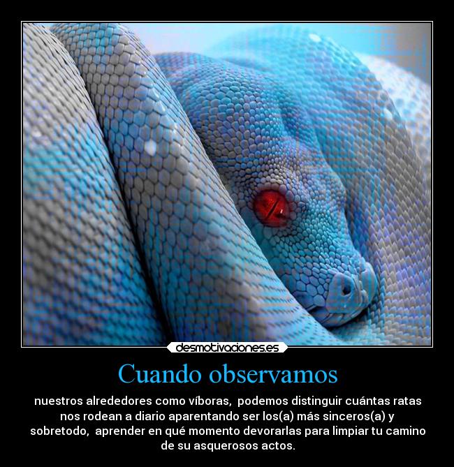 Cuando observamos - nuestros alrededores como víboras,  podemos distinguir cuántas ratas
nos rodean a diario aparentando ser los(a) más sinceros(a) y
sobretodo,  aprender en qué momento devorarlas para limpiar tu camino
de su asquerosos actos.