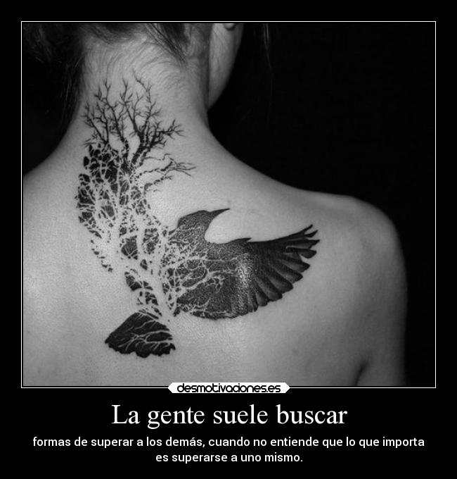 carteles obstaculos superar gente personas buscar pajaro volar envidia nee unouna yerg meaburro muchoooo desmotivaciones