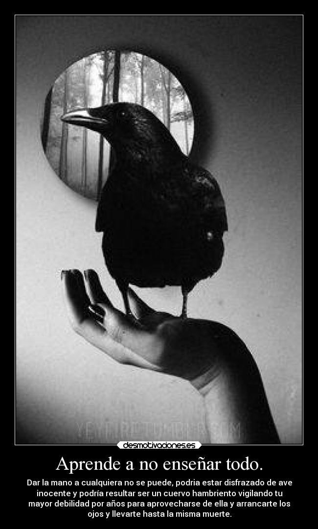 Aprende a no enseñar todo. - Dar la mano a cualquiera no se puede, podria estar disfrazado de ave
inocente y podría resultar ser un cuervo hambriento vigilando tu
mayor debilidad por años para aprovecharse de ella y arrancarte los
ojos y llevarte hasta la misma muerte.