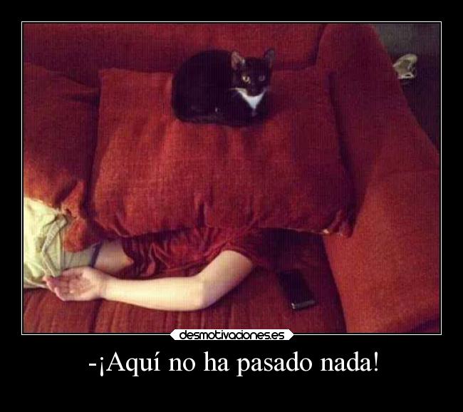 -¡Aquí no ha pasado nada! -