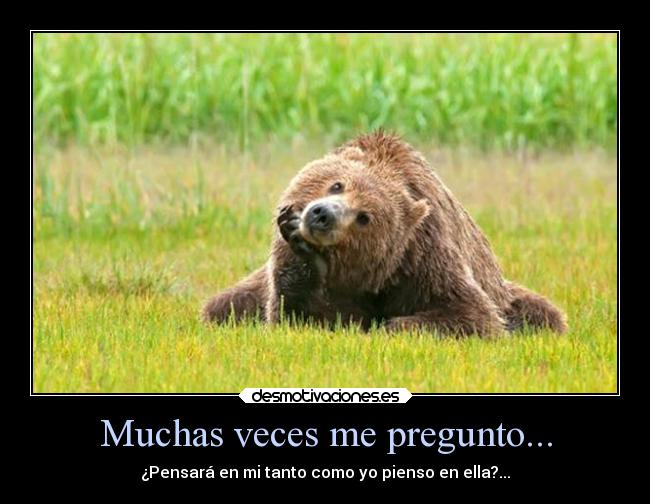 Muchas veces me pregunto... - ¿Pensará en mi tanto como yo pienso en ella?...