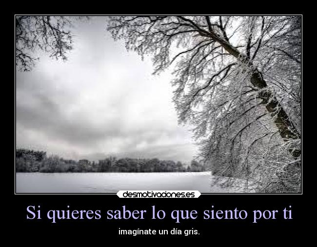 Si quieres saber lo que siento por ti - imagínate un día gris.