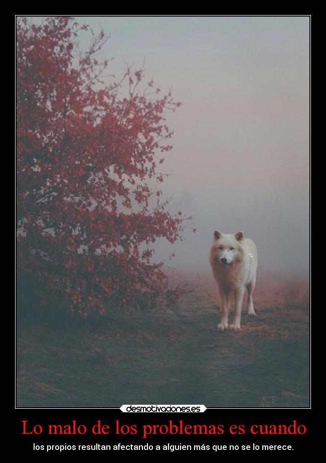 Lo malo de los problemas es cuando -