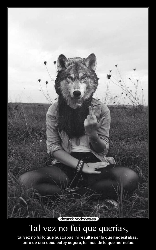 Tal vez no fui que querías, - tal vez no fui lo que buscabas, ni resulte ser lo que necesitabas,
pero de una cosa estoy seguro, fui mas de lo que merecías.
