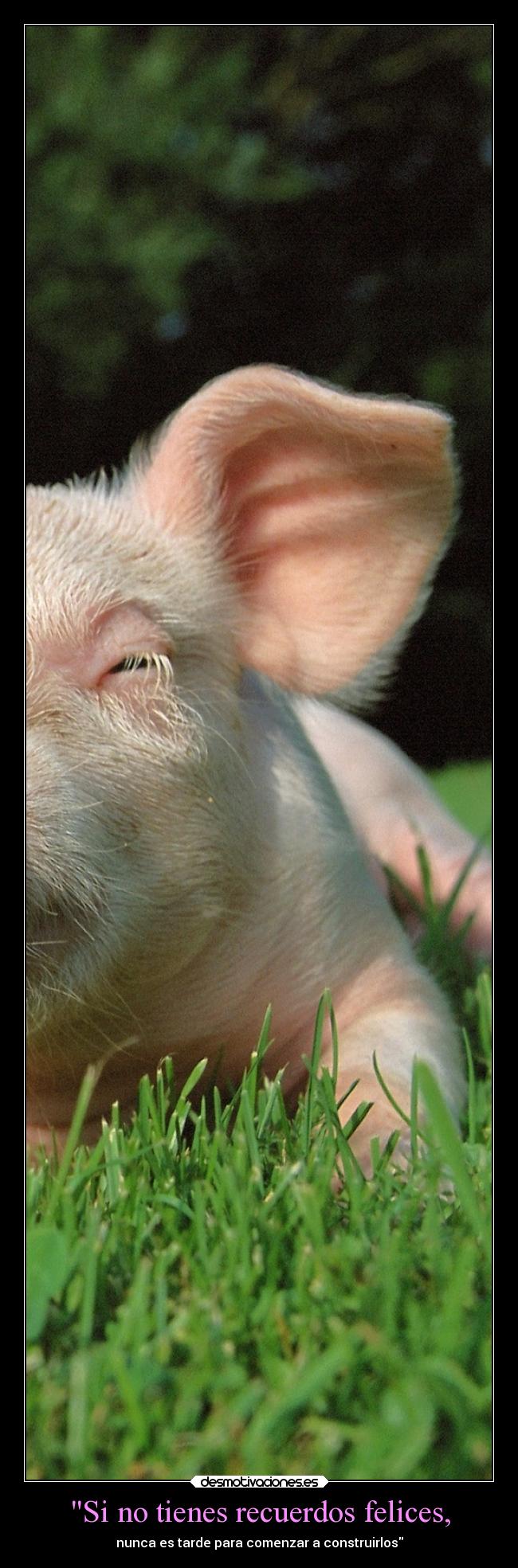 Si no tienes recuerdos felices, -