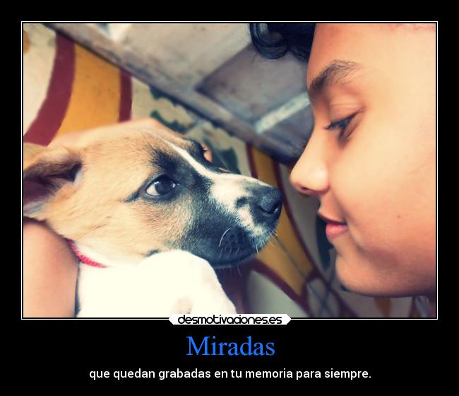 Miradas - que quedan grabadas en tu memoria para siempre.