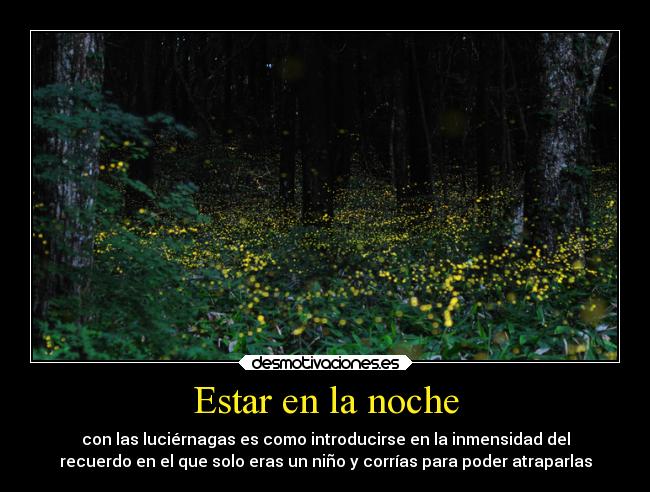Estar en la noche - con las luciérnagas es como introducirse en la inmensidad del
recuerdo en el que solo eras un niño y corrías para poder atraparlas