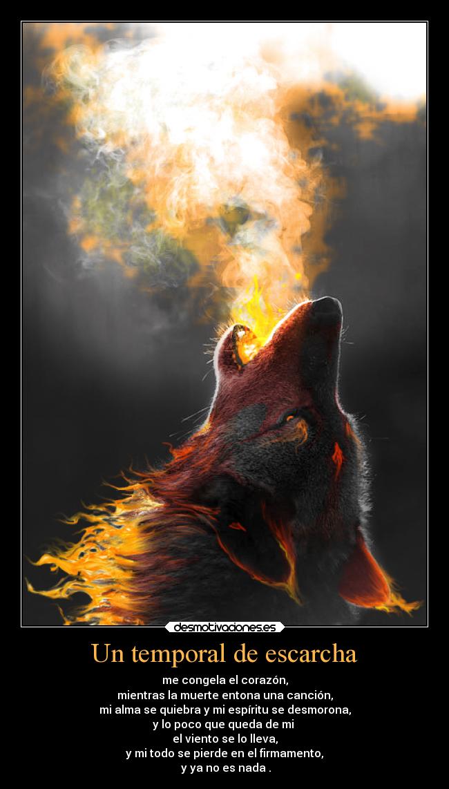 carteles sentimientos desmoc3 theinmortals unicorniosrosasyazules godricvampire666 desmotivaciones