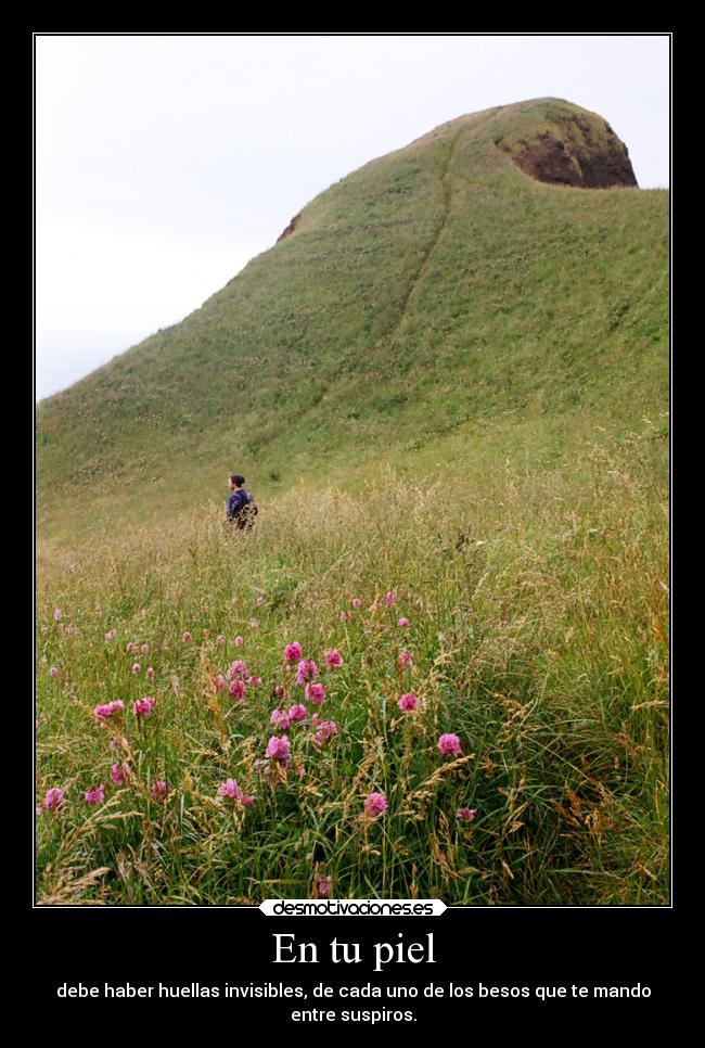 En tu piel - 