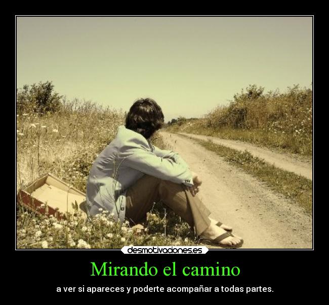 Mirando el camino - a ver si apareces y poderte acompañar a todas partes.