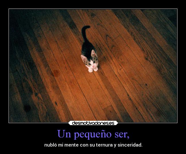 Un pequeño ser, - nubló mi mente con su ternura y sinceridad.