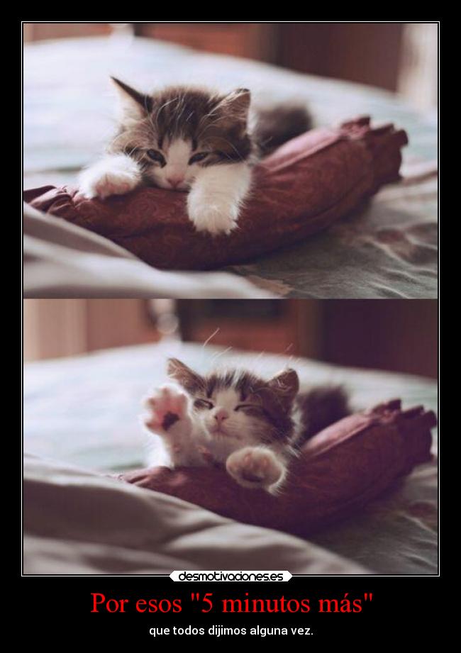 Por esos 5 minutos más - que todos dijimos alguna vez.