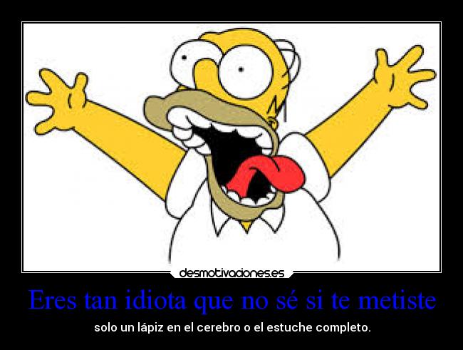 Eres tan idiota que no sé si te metiste - 