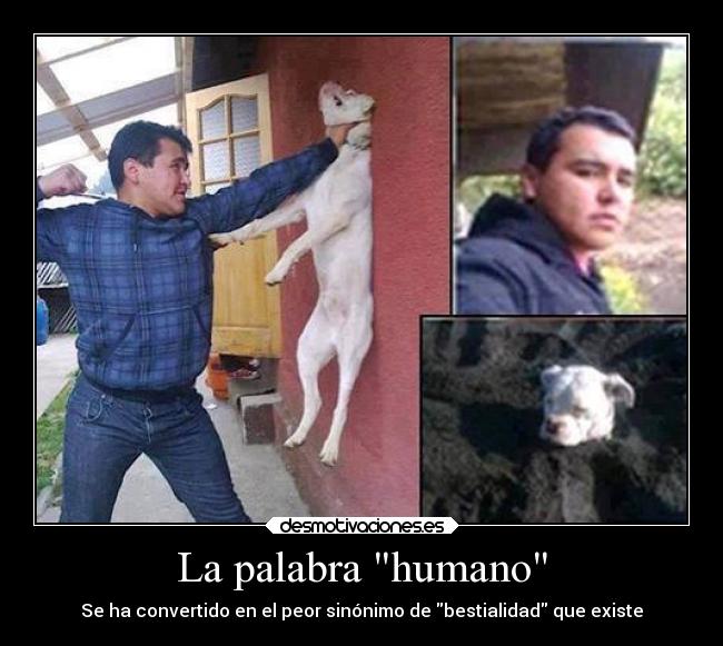 La palabra humano - 