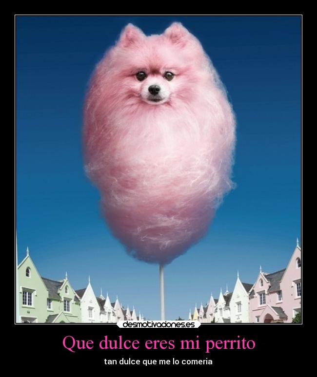 Que dulce eres mi perrito -