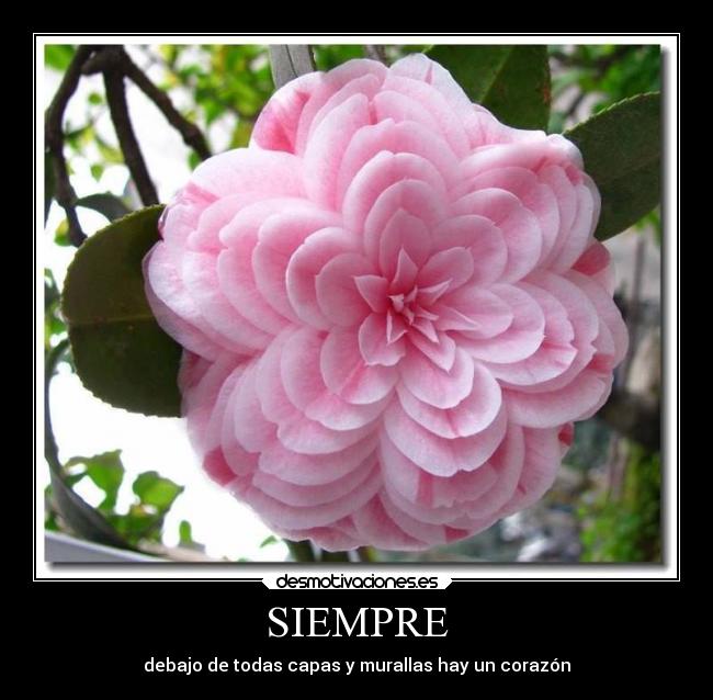 SIEMPRE - debajo de todas capas y murallas hay un corazón