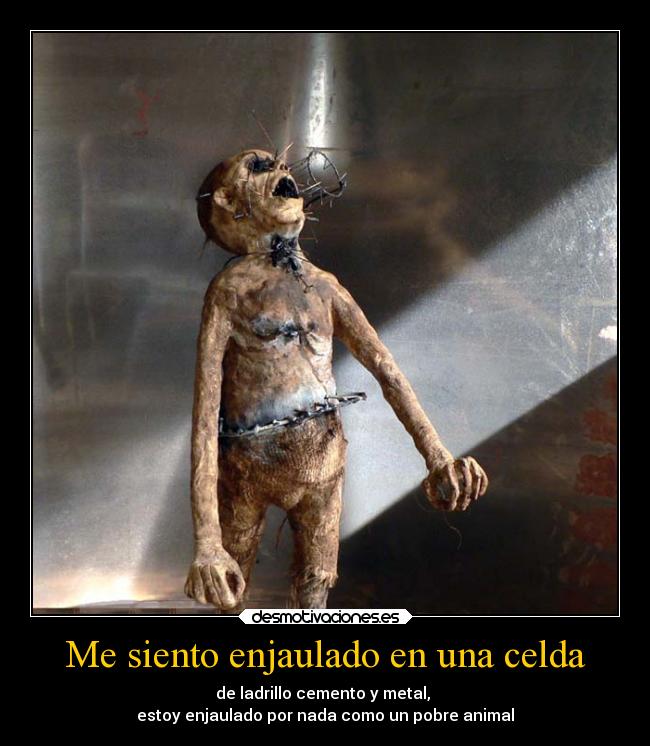 Me siento enjaulado en una celda - de ladrillo cemento y metal, 
estoy enjaulado por nada como un pobre animal