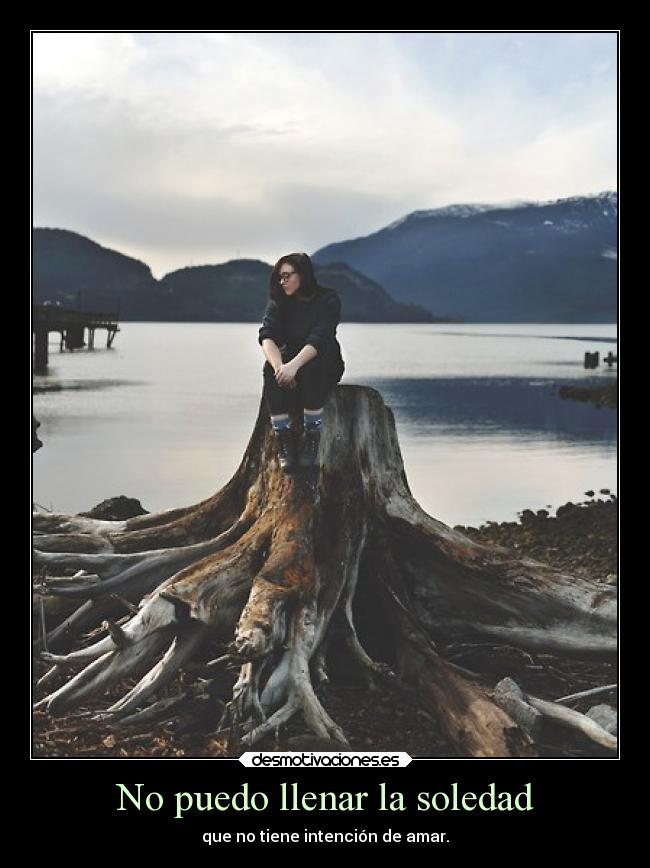 No puedo llenar la soledad - que no tiene intención de amar.
