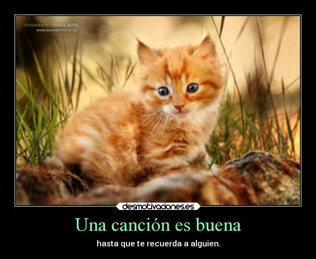 Una canción es buena -