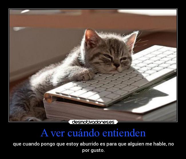 carteles vida aburrido gato teclado desmotivaciones