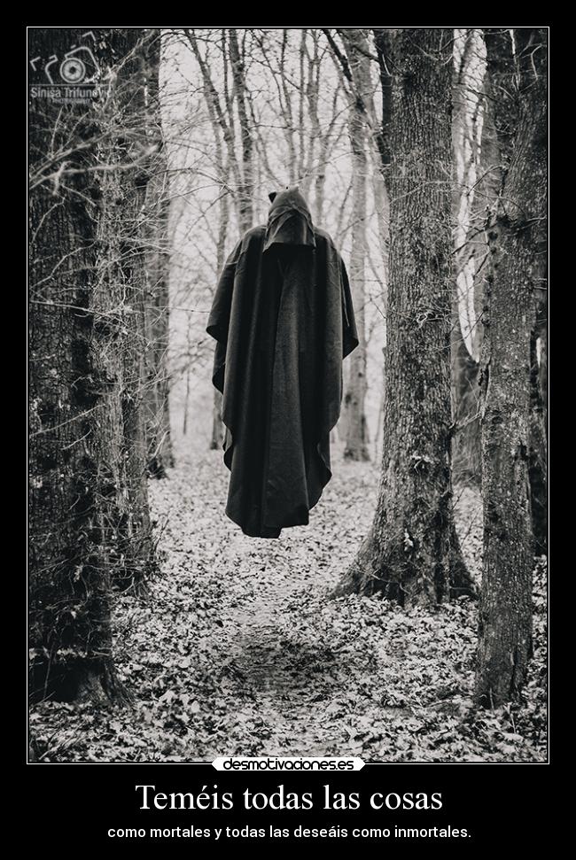 Teméis todas las cosas - 