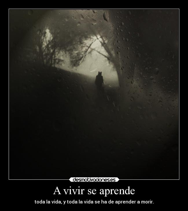A vivir se aprende -