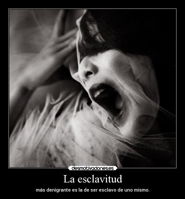 carteles vida amm seneca chaerul umam desmotivaciones