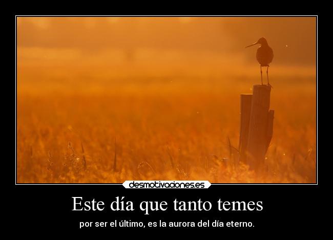 Este día que tanto temes -