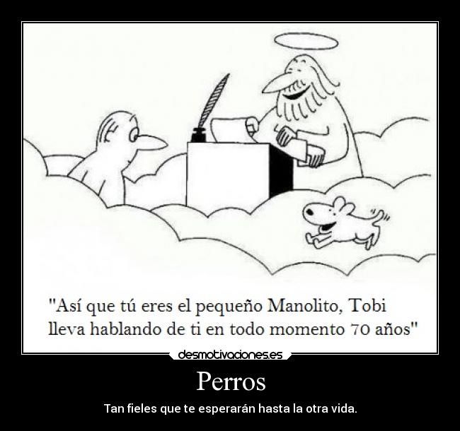 carteles vida animales amistad fidelidad flipytaker desmotivaciones