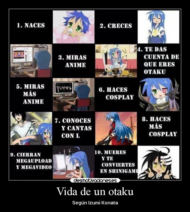 Vida de un otaku - 