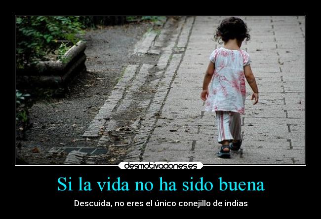 Si la vida no ha sido buena - Descuida, no eres el único conejillo de indias