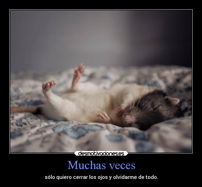 Muchas veces - sólo quiero cerrar los ojos y olvidarme de todo.