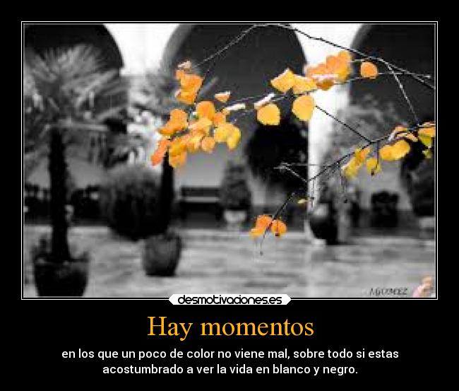 Hay momentos - en los que un poco de color no viene mal, sobre todo si estas
acostumbrado a ver la vida en blanco y negro.