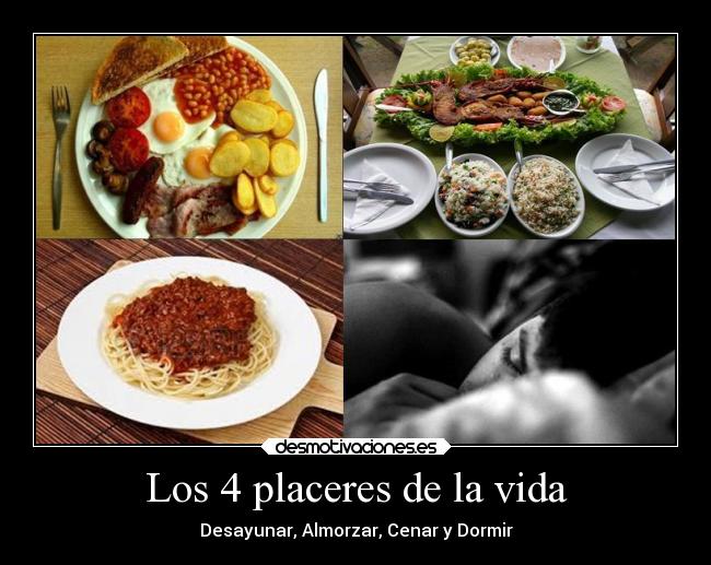 Los 4 placeres de la vida -