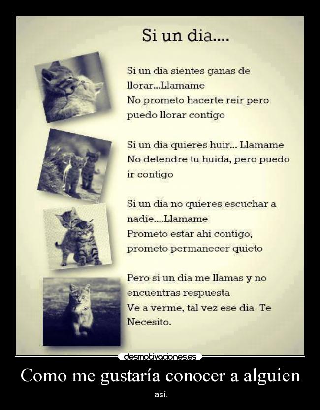 Como me gustaría conocer a alguien - 