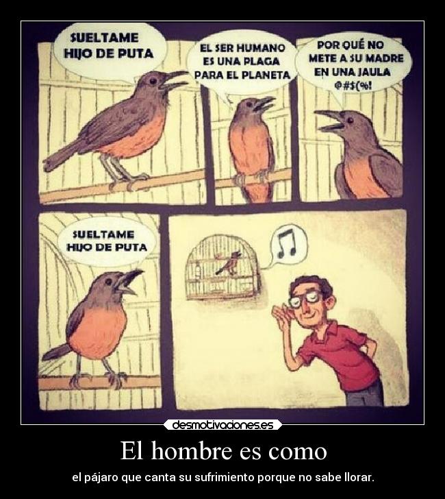 El hombre es como - el pájaro que canta su sufrimiento porque no sabe llorar.