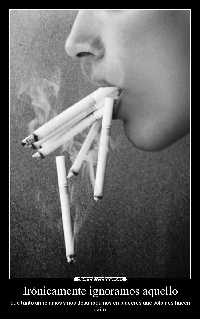 Irónicamente ignoramos aquello -