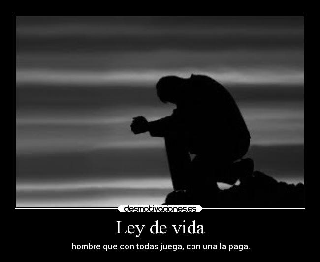 carteles vida desamor desmotivaciones