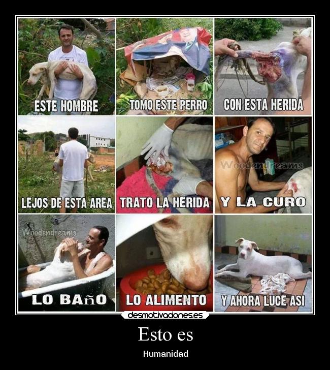 Esto es - Humanidad