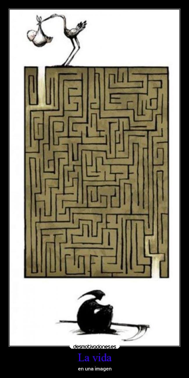 La vida - en una imagen